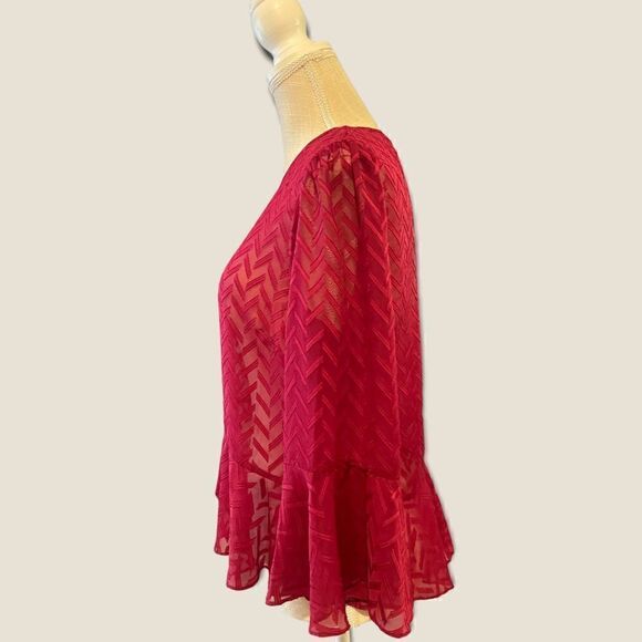 BCBGMaxazaria | EUC Women’s Sheer Bell Sleeved Blouse Size M - Picture 4 of 8